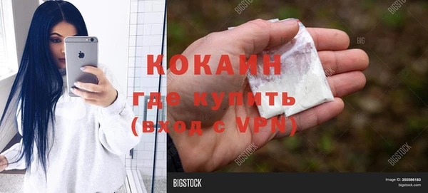 прущие грибы Киреевск