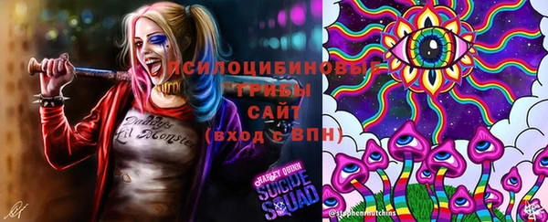 крисы Касимов